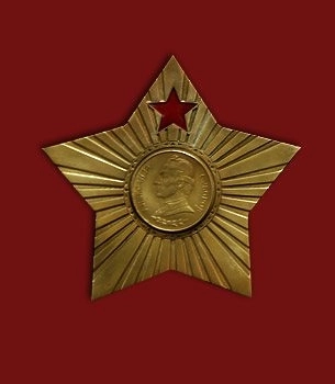 Медаль ВМ33