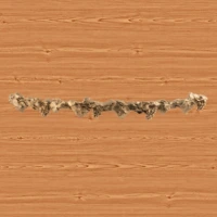 Wood-4