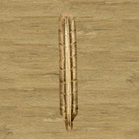 Wood-6