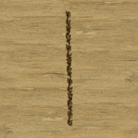 Wood-6