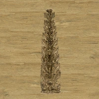 Wood-6